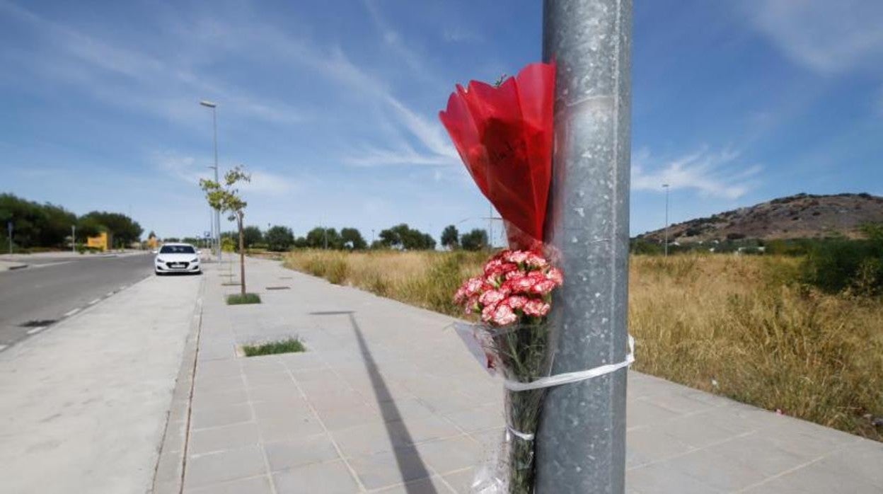 Crimen de Cabra | La Fiscalía de Córdoba solicita 25 años de prisión para el joven acusado de asesinato