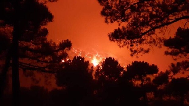 Más de una veintena de vecinos son desalojados de sus casas por un incendio en la Serranía de Ronda