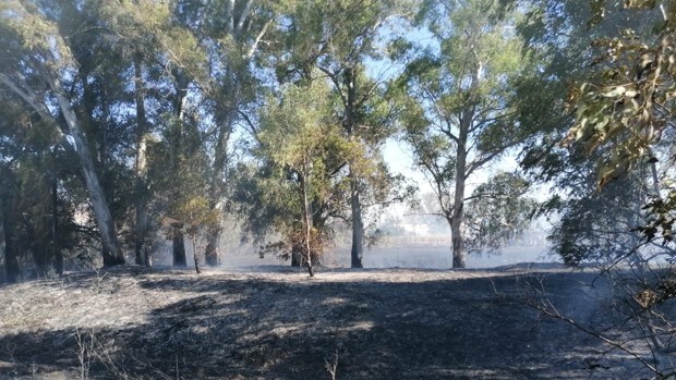 Un fuego forestal amenaza el núcleo urbano de Almonte y obliga a evacuar a vecinos