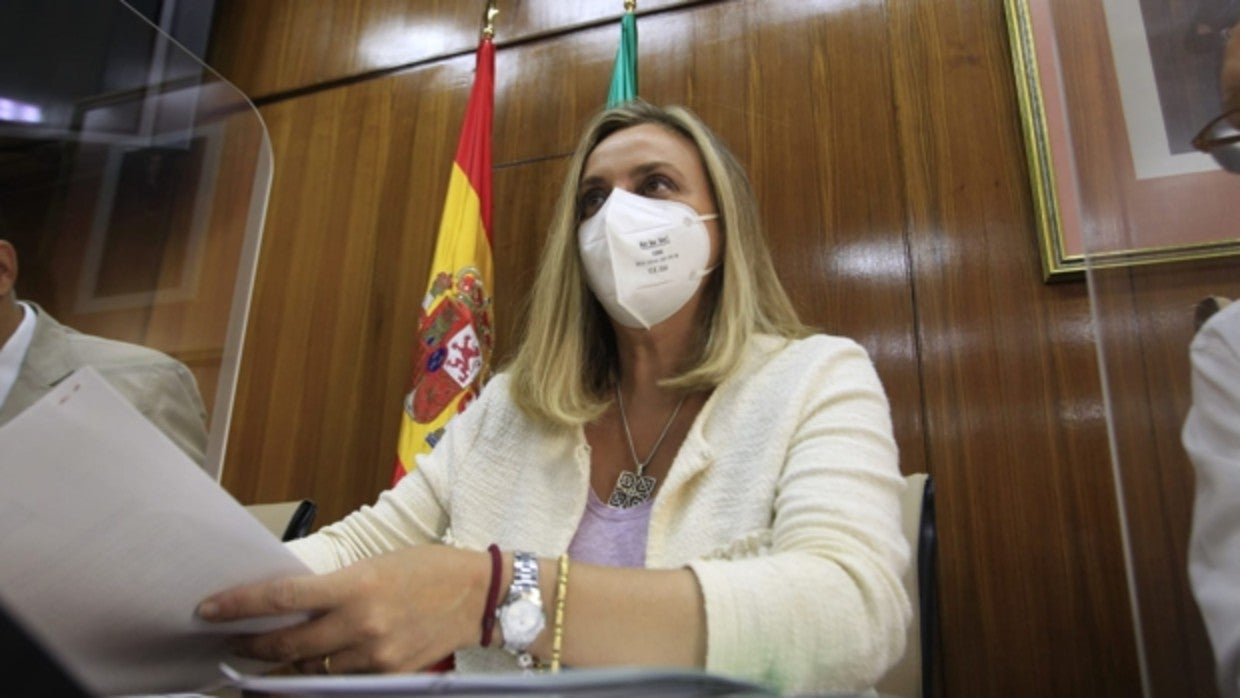 La consejera de Fomento, Marifrán Carazo, durante la comisión parlamentaria