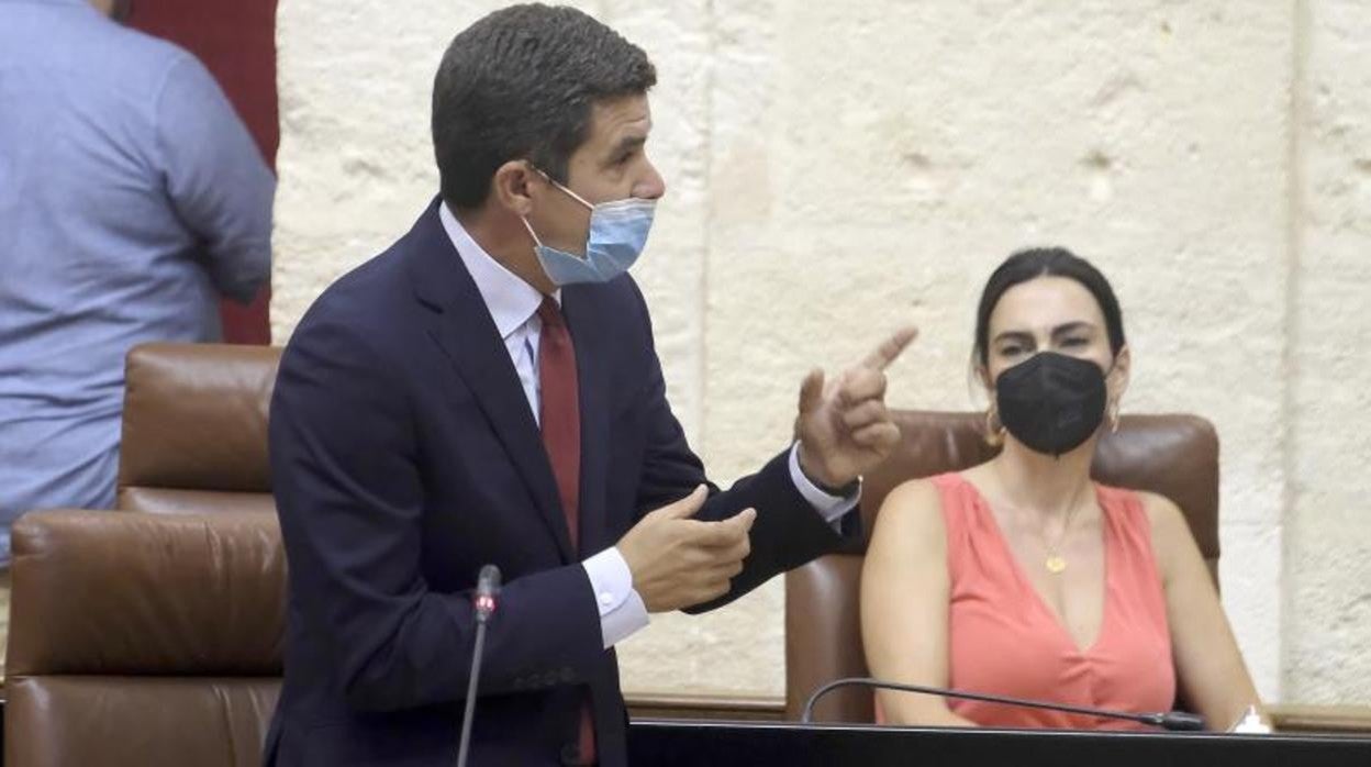 El portavoz saliente de Cs, Sergio Romero, junto a su sustituta, Teresa Pardo, este jueves en el Parlamento