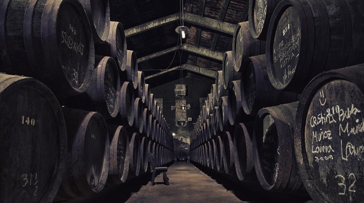 Botas de vino en el interior de la bodega Toro Albalá en Aguilar de la Frontera