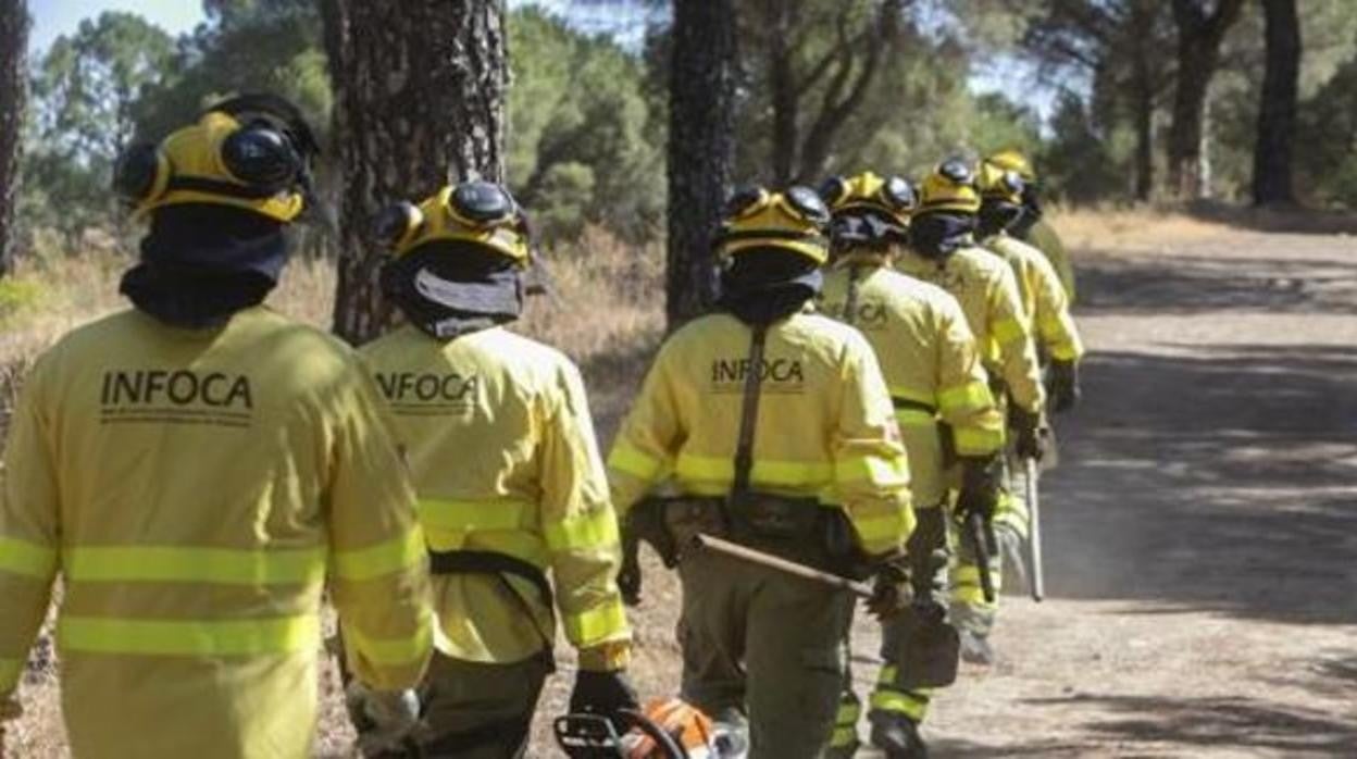 Bomberos forestales