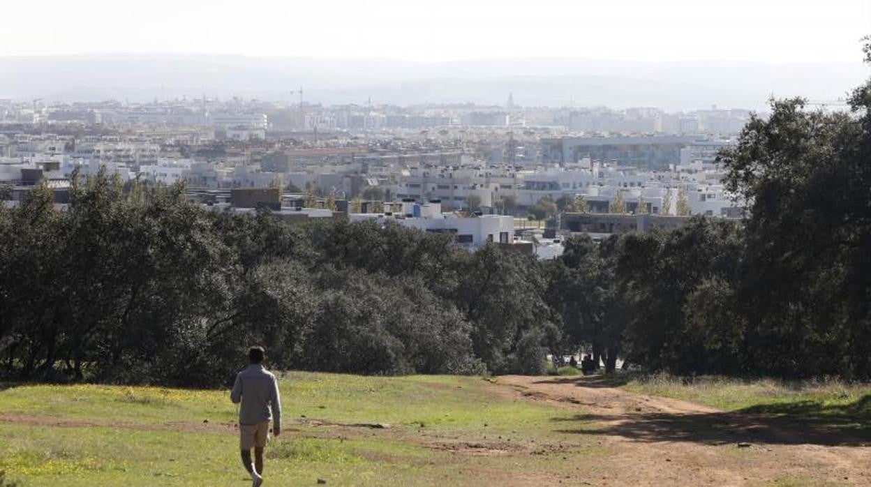 Estado actual del parque de EL Patriarca, en una imagen de finales del año pasado