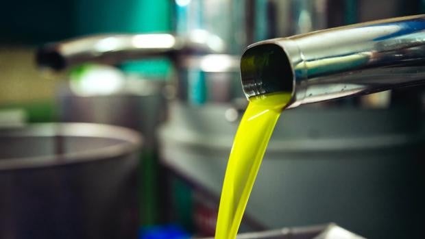 La supresión de los aranceles de EE.UU. dispara las ventas de aceite de oliva y tira de las exportaciones