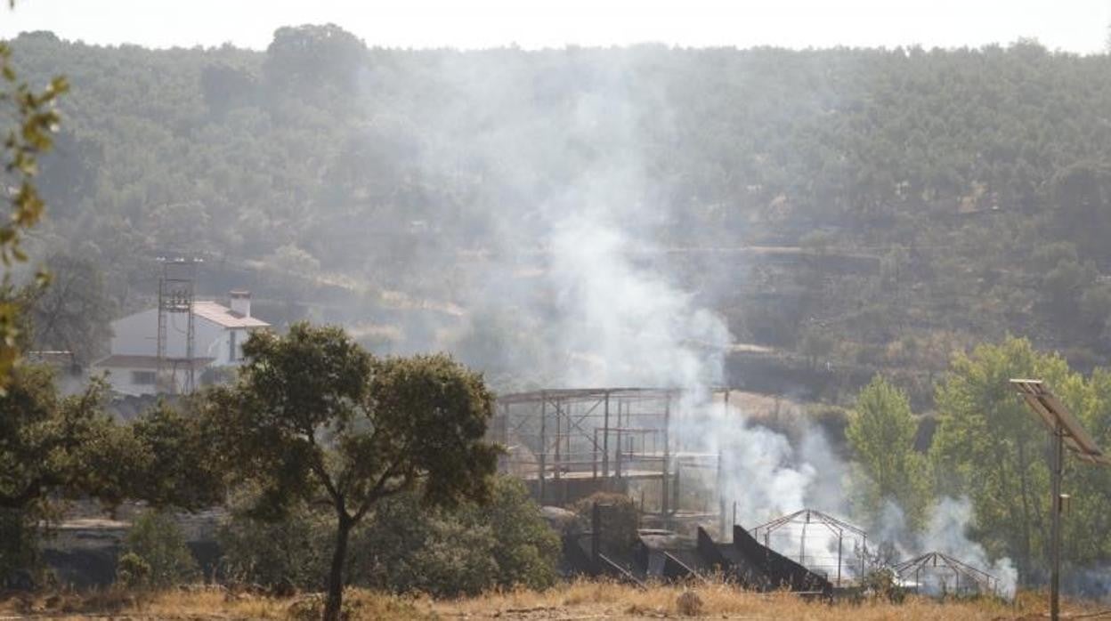 Efectos del incendio forestal en Alcaracejos el pasado 25 de agosto