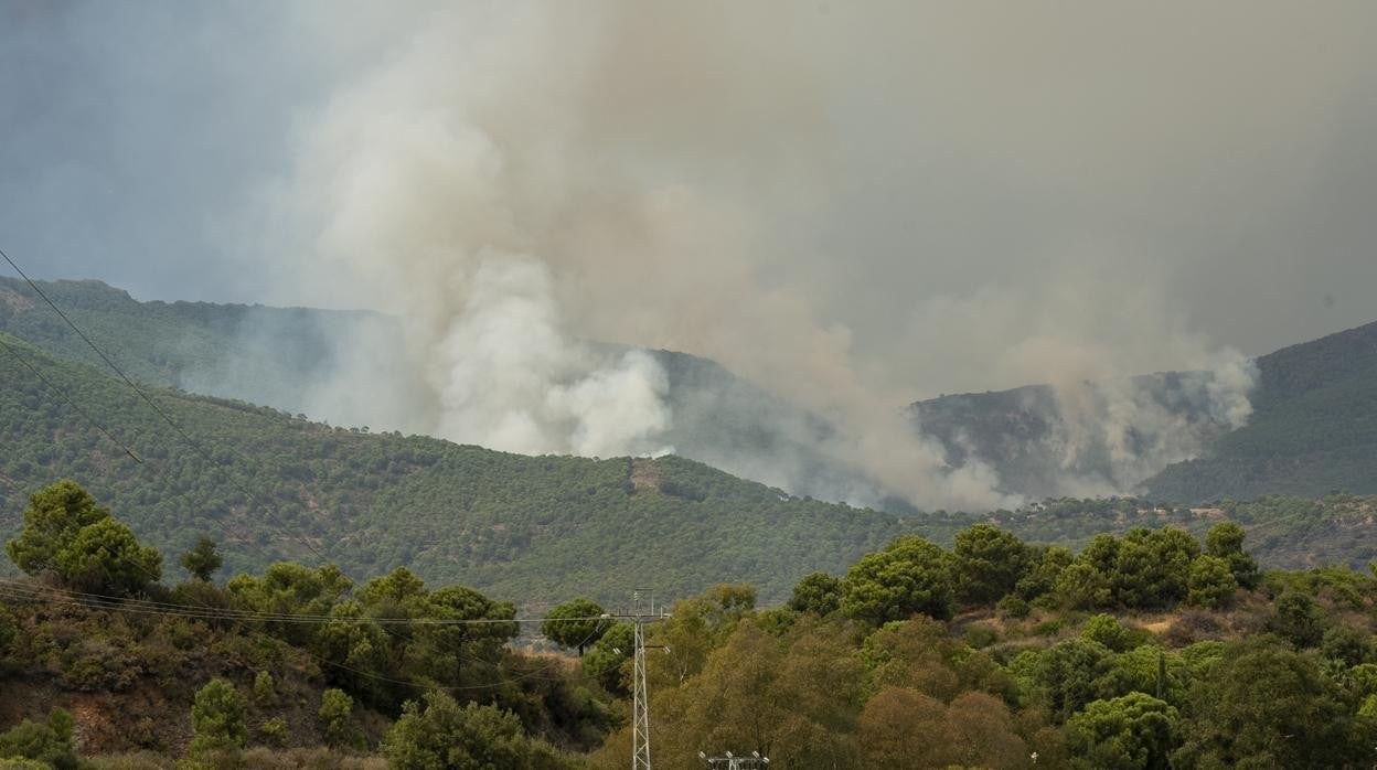 Imagen del incendio en Peñas Blancas