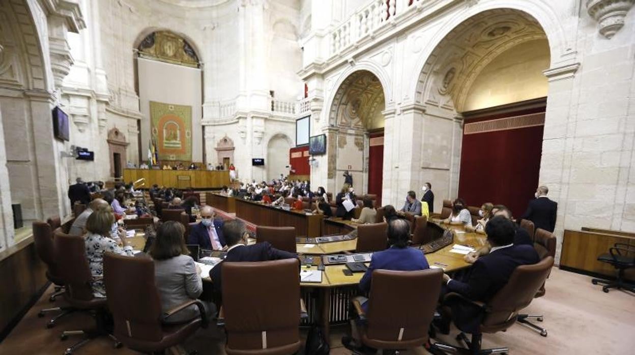 Los diputados de Vox ocupando sus escaños en el Parlamento andaluz este miércoles