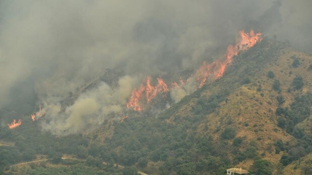 El Gobierno declara zona catastrófica a Sierra Bermeja