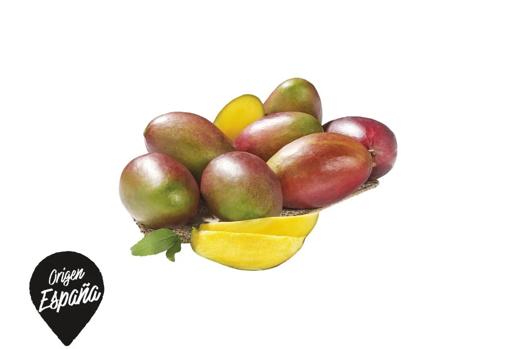 Las cinco novedades que van a arrasar en Lidl en octubre por menos de 3 euros