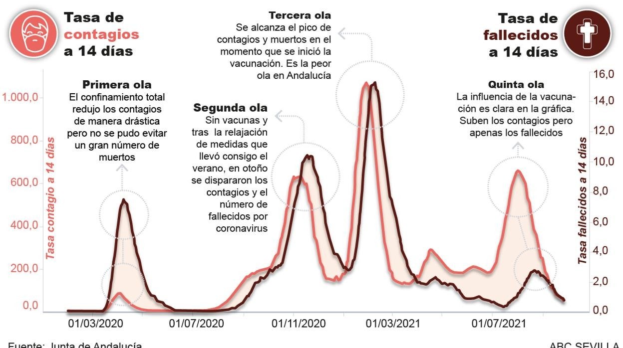Gráfico elaborado por la Consejería de Salud sobre el impacto de la vacuna en el coronavirus