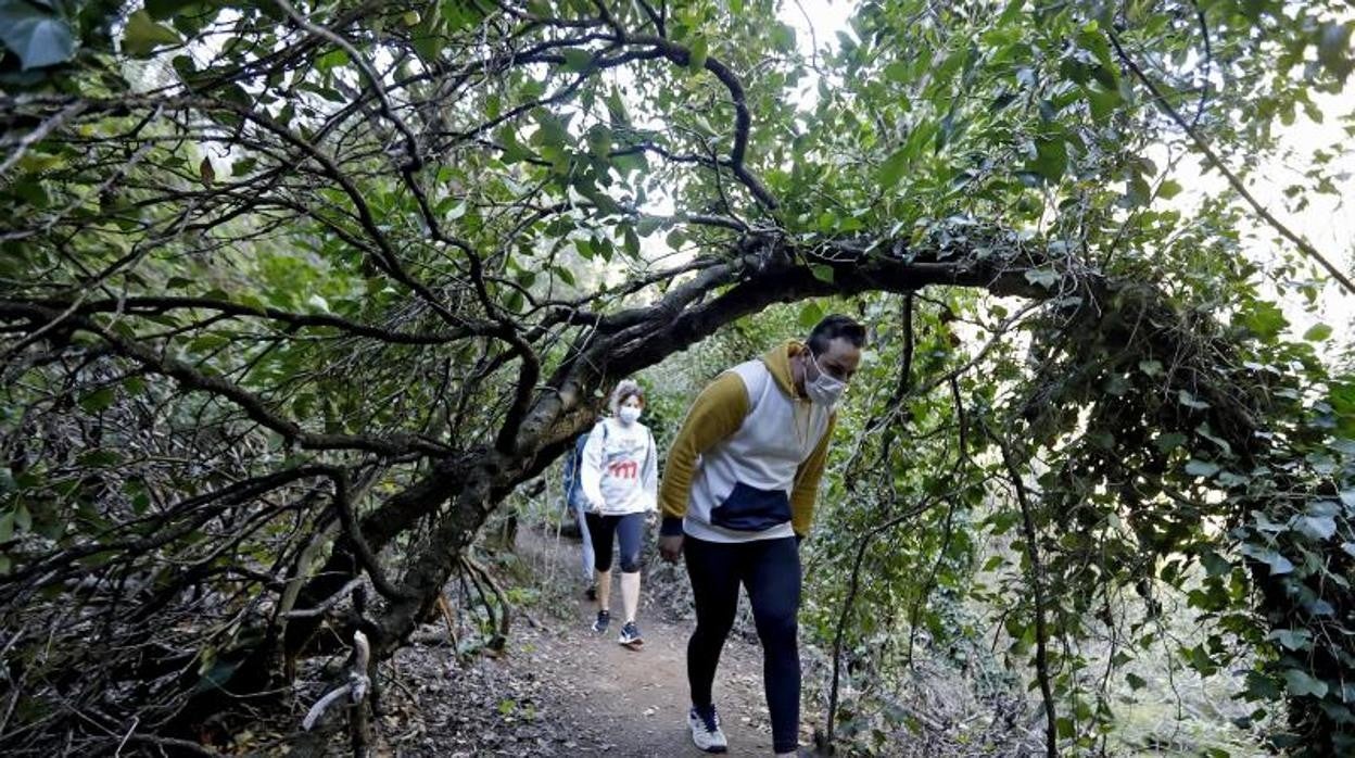 Senderistas en Sierra Morena de Córdoba durante la pandemia