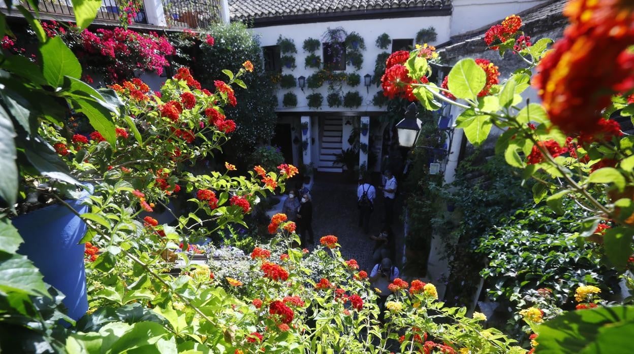 Vïdeo con el ambiente en el patio de Marroquíes, 6 en la mañana del sábado, poco después de su apertura