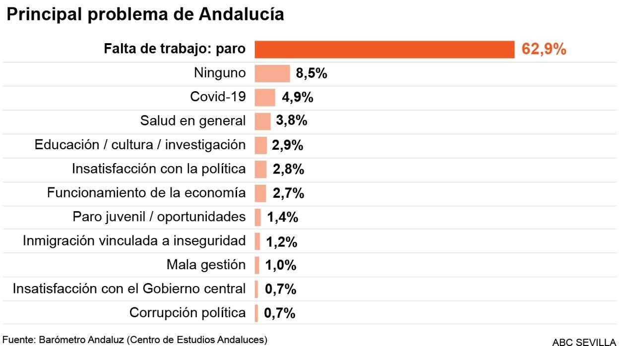 Principales porblemas de los andaluces