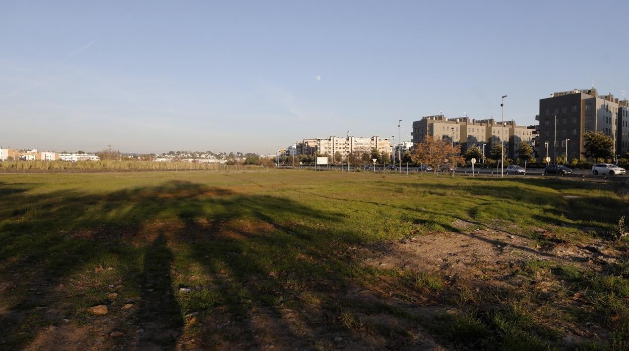 Zona del futuro parque del Canal