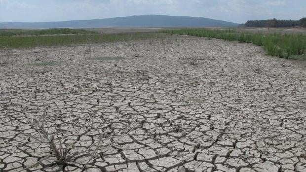 La Junta de Andalucía reclama al Gobierno usar fondos europeos contra la sequía