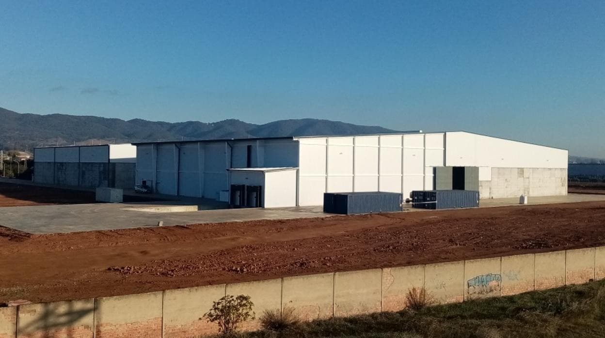 Imagen de la nave de almacenamiento en las instalaciones de Dcoop en Villarrubia