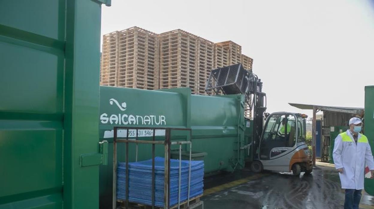 Planta de Migasa en Córdoba