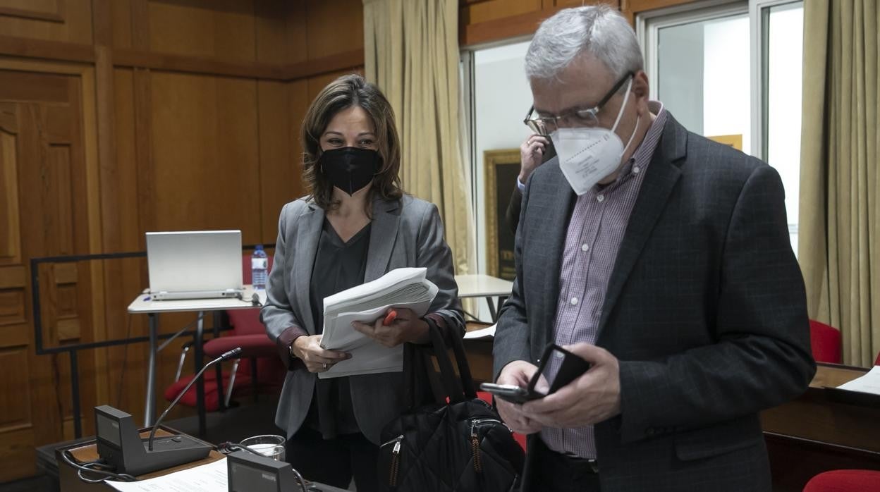 La portavoz municipal socialista y exalcaldesa, Isabel Ambrosio, antes del inicio del último Pleno