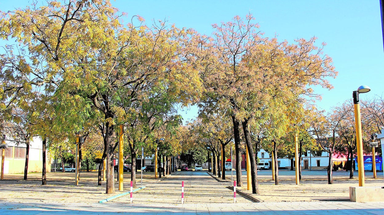 Zona del recinto ferial que se convertirá en aparcamiento