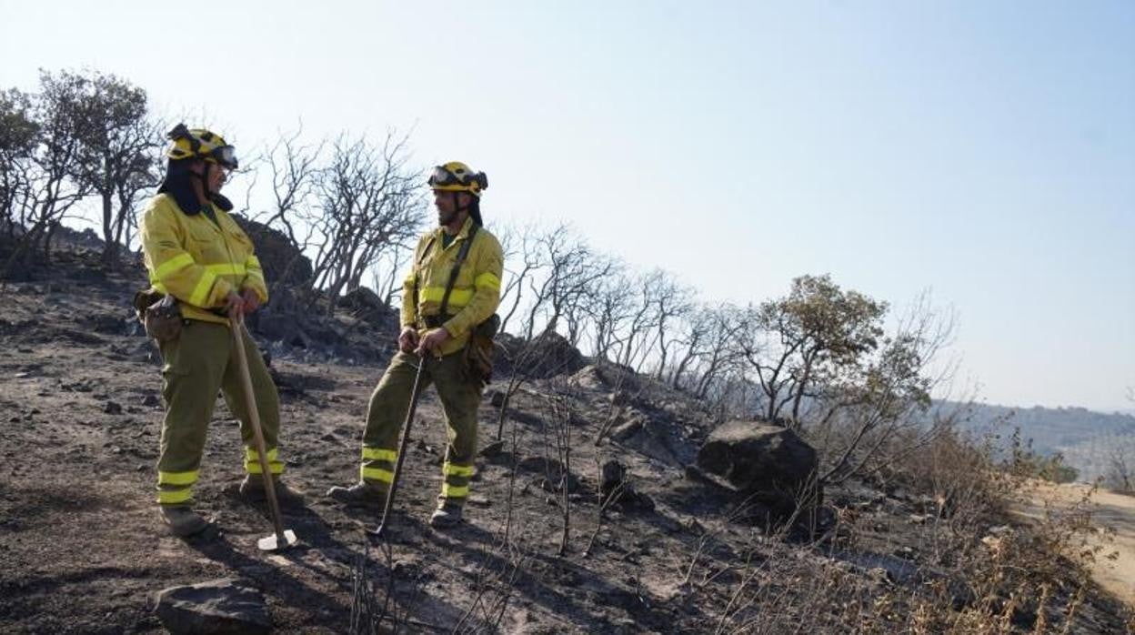 Dos agentes forestales en el incendio de Alcaracejos en agosto de este año
