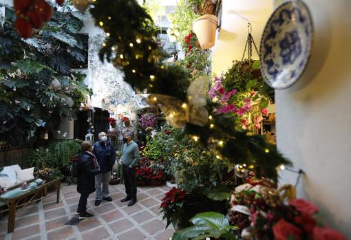 Patio del número 5 de la calle Parras en Córdoba