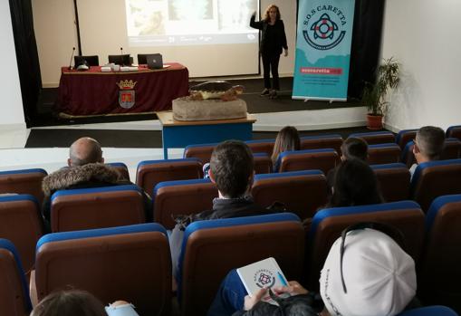 Otra de las reuniones sobre las tortugas marinas