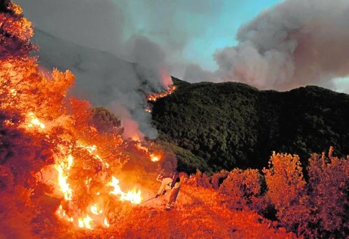 Incendio de Sierra Bermeja en Málaga