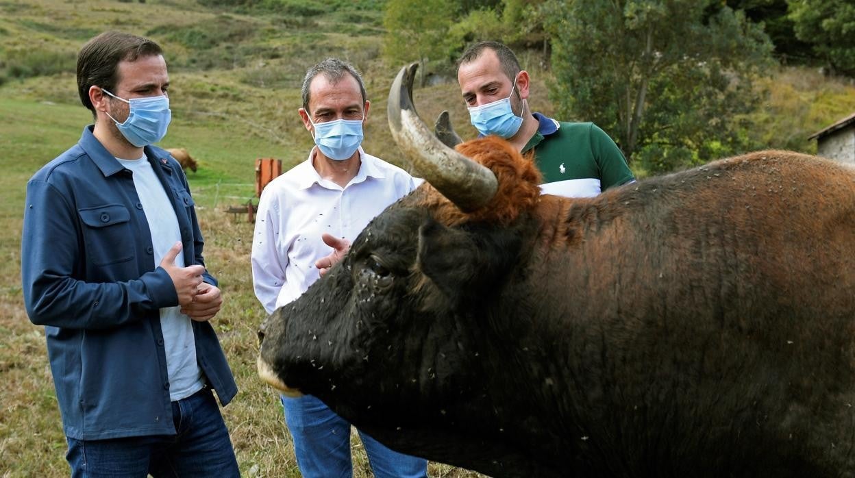 El ministro de Consumo, Alberto Garzón, durante una visita a una explotación ganadera