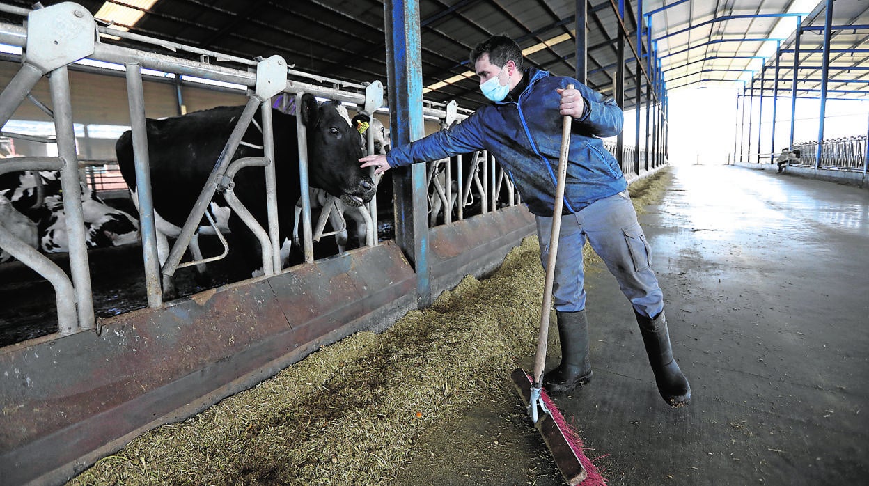 Un ganadero en una explotación de Añora, en el Valle de los Pedroches