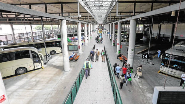 Tarjeta Joven de Transporte en Andalucía: beneficios, quién puede solicitarla, cómo funciona...