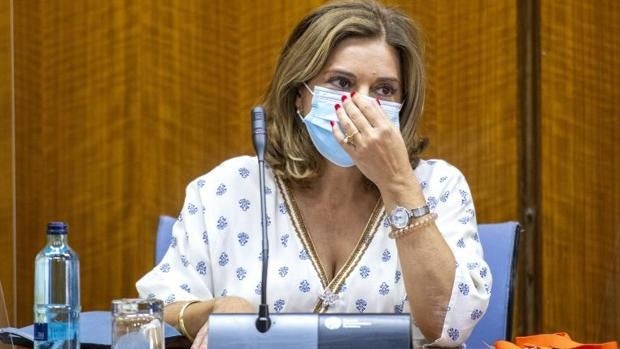 La mujer de Juan Espadas rehúsa declarar ante la Guardia Civil tras citarla como investigada por los 'enchufes' en la Faffe