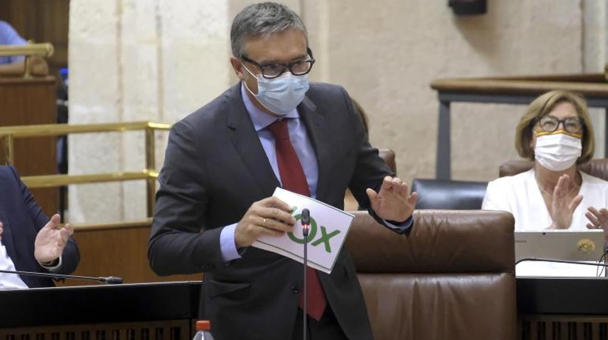 El portavoz de Vox, Manuel Gavira, en una intervención en el Pleno del Parlamenta de Andalucía