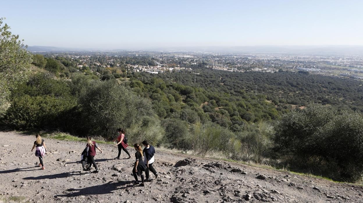 Futuro parque periurbano del Patriarca