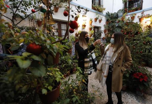 Visitantes de los Patios de Córdoba en diciembre de 2021