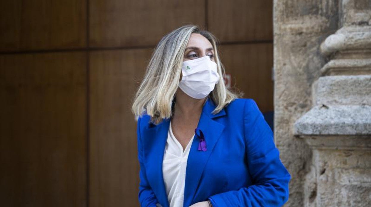 La consejera de Fomento, Marifrán Carazo, en el Parlamento