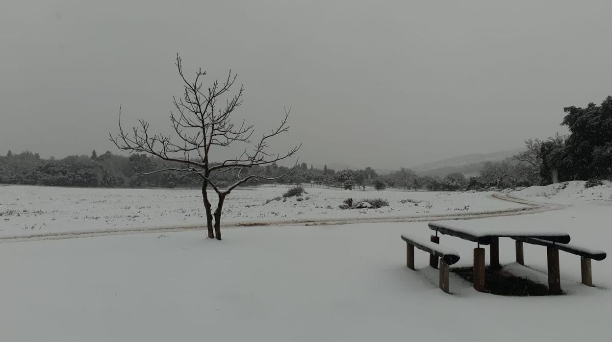 Manto blanco sobre la Sierra de las Nieves