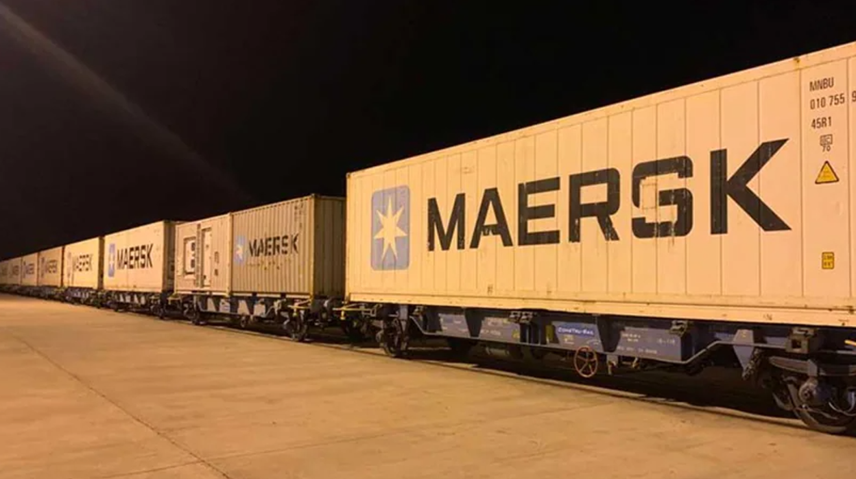 Tren de mercancías a la salida de Algeciras