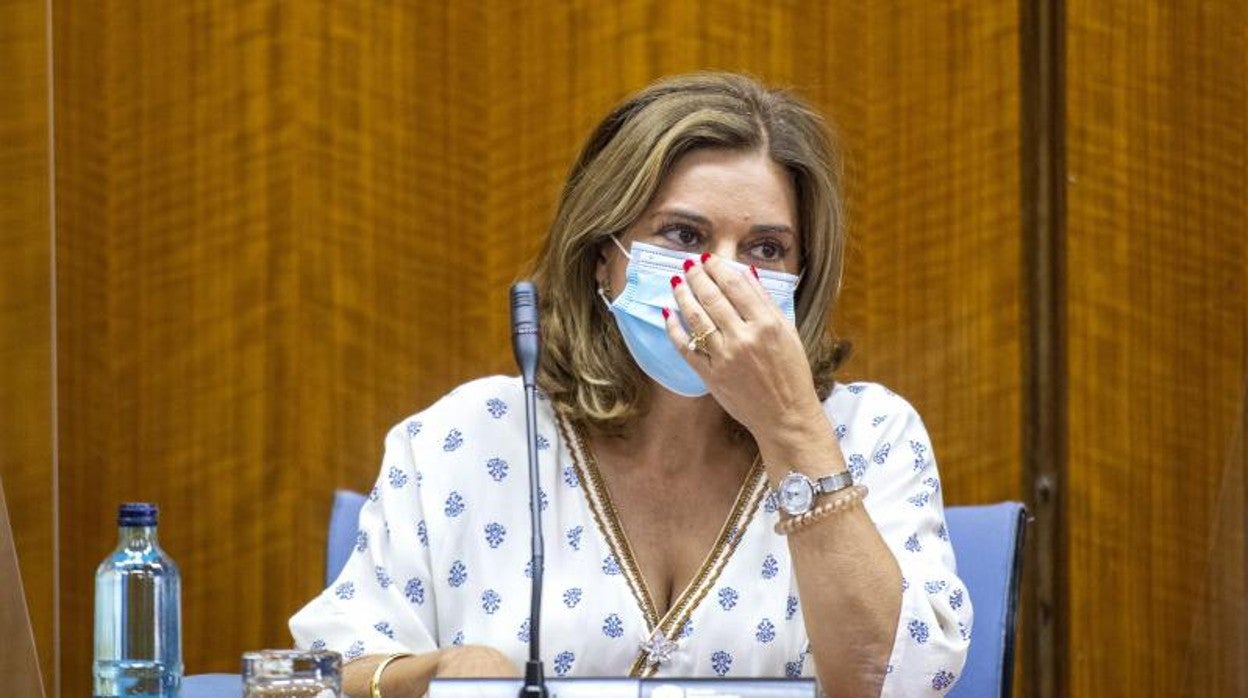 Comisión de investigación sobre la Faffe en el Parlamento de Andalucía con la mujer de Juan Espadas declarando