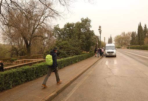 Imagen de la avenida del Alcázar, donde el Ayuntamiento plantea una intervención integral