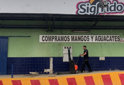 Trabajadores de carga y descarga en Vélez-Málaga