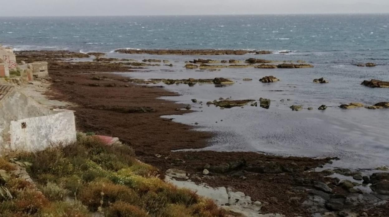 Imágenes grabadas por Juanjo Quintero en La Caleta