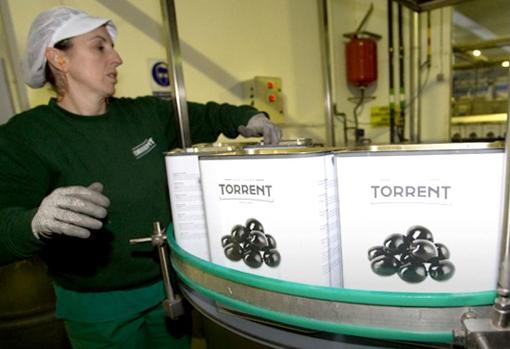 Una trabajadora en la planta de Aceitunas Torrent en Aguilar de la Frontera