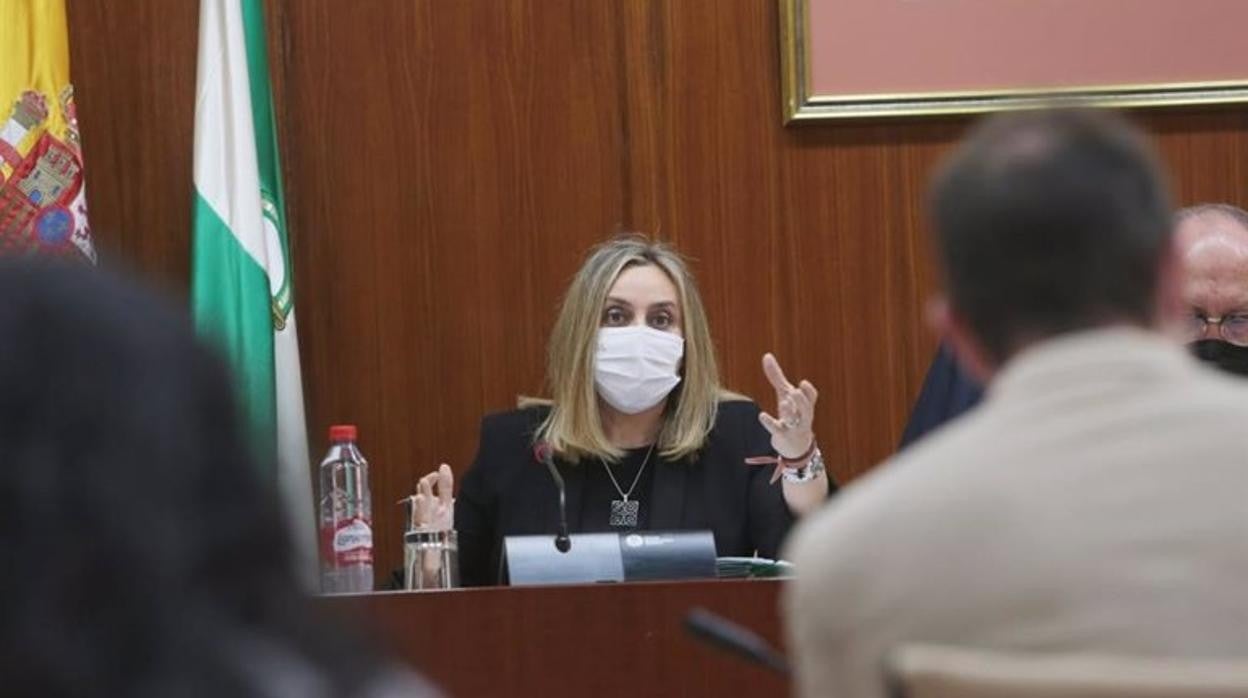 La consejera Marifrán Carazo, en la Comisión de Fomento