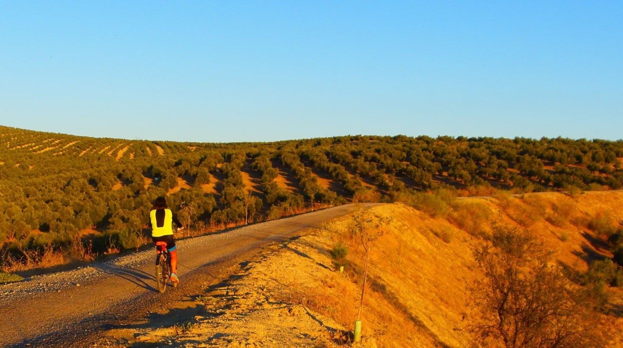 La vía verde del Guadalimar tiene una extensión de 15 kilómetros