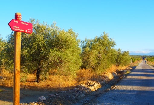 La vía discurre hacia la vega