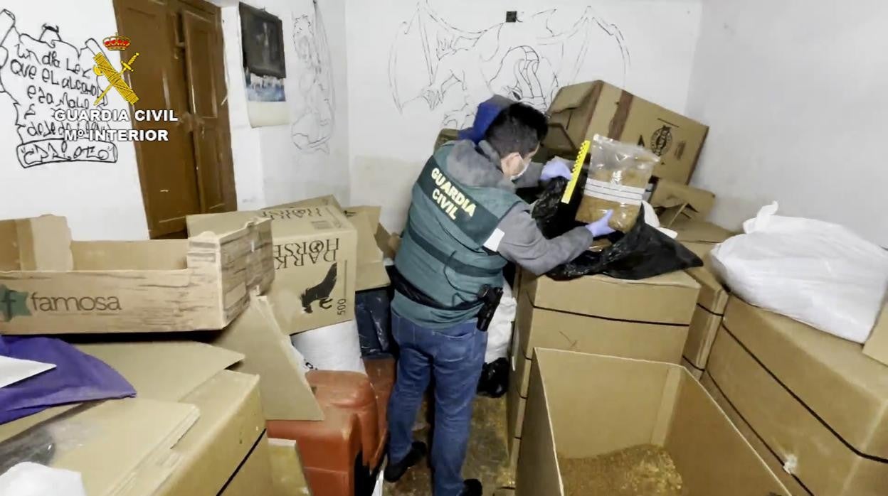 Una agente de la Guardia Civil durante la operación