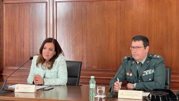 La crónica negra de la campaña de recolección de aceituna: 7 detenidos y 4 investigados por robos de casi 204.000 kilos