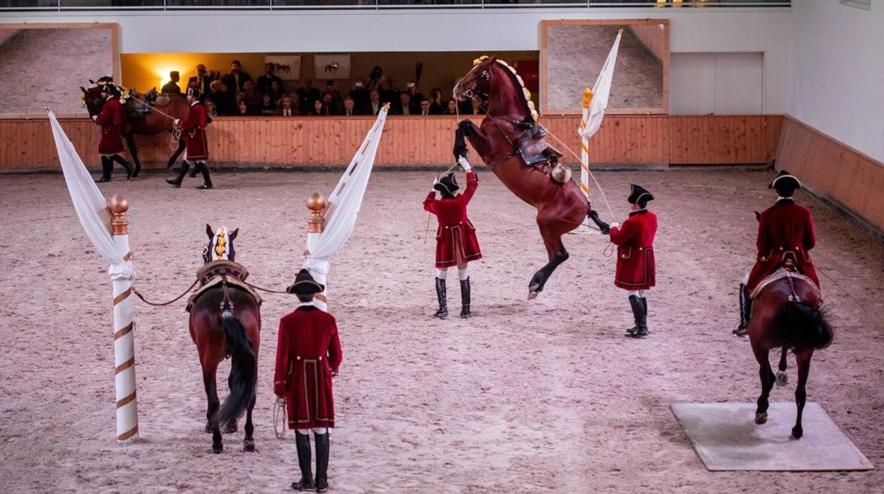 Imagen de uno de los espectáculos de la Escola Portuguesa da Arte Ecuestre