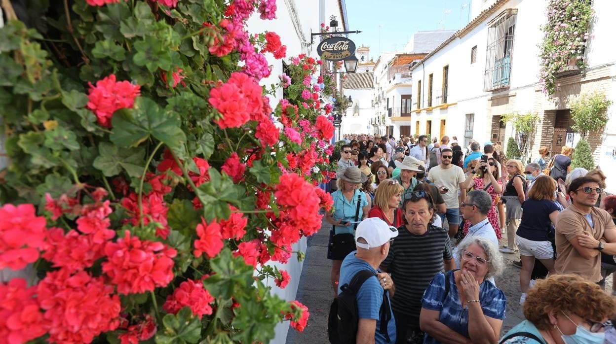 Colas en la calle San Basilio para visitar los Patios de Córdoba